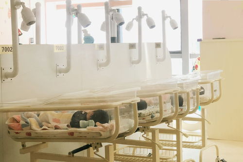 专注医疗级月子服务，馨享月完成A轮千万融资，引领母婴护理新标准